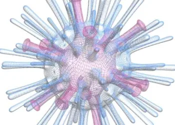 Segundo caso com o vírus H5N1 confirmado no Estado do Rio: Influenza Aviária.