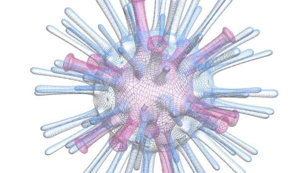 Segundo caso com o vírus H5N1 confirmado no Estado do Rio: Influenza Aviária.