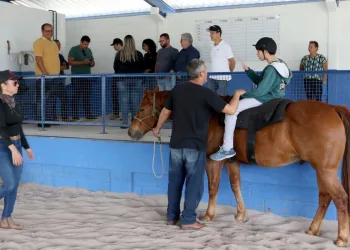 Equoterapia: Um Centro de Excelência no Tratamento de Necessidades Especiais