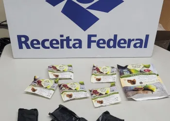 Receita Federal apreende mais de R$ 179 mil em haxixe no Aeroporto do Galeão