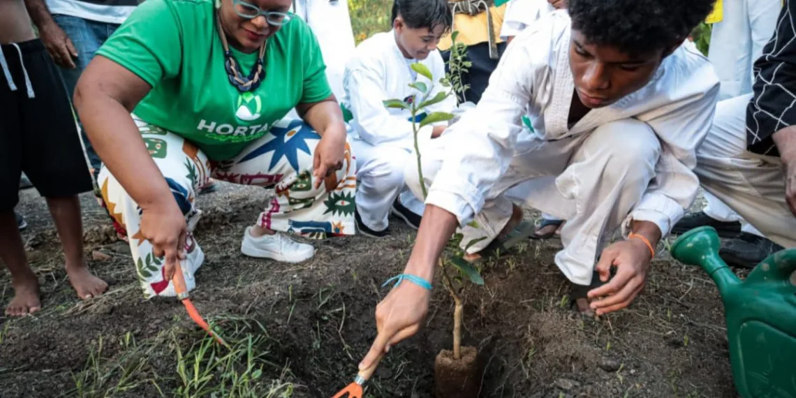Rio lança Programa AlimentaRio para combater a fome com ênfase na produção de alimentos orgânicos