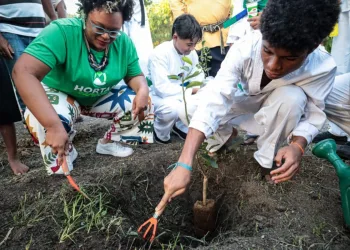 Rio lança Programa AlimentaRio para combater a fome com ênfase na produção de alimentos orgânicos