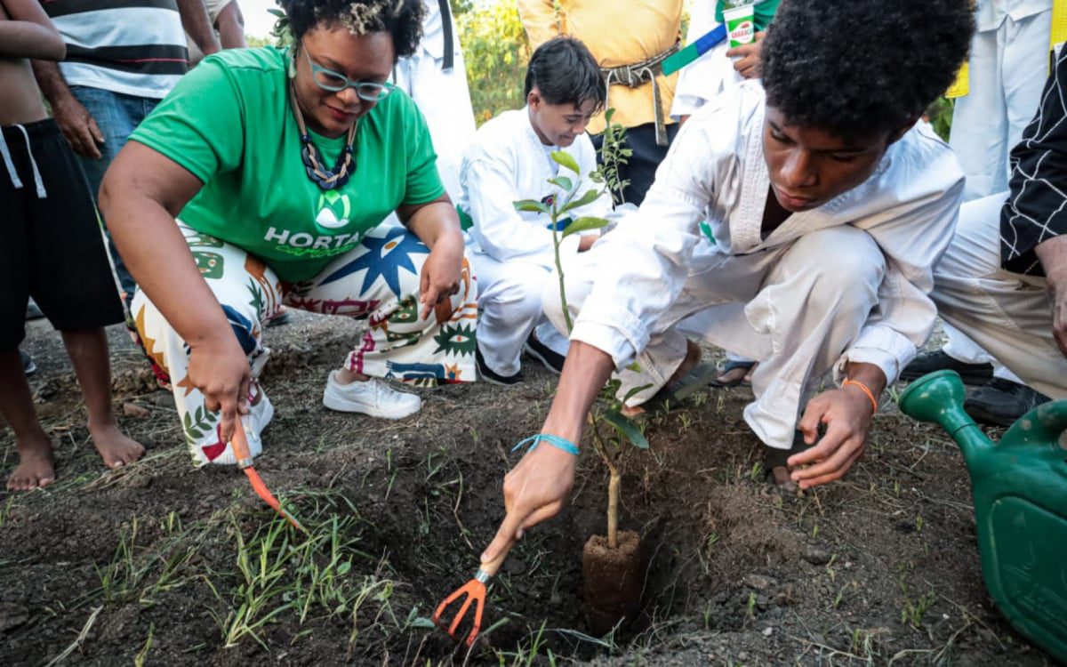 Rio lança Programa AlimentaRio para combater a fome com ênfase na produção de alimentos orgânicos
