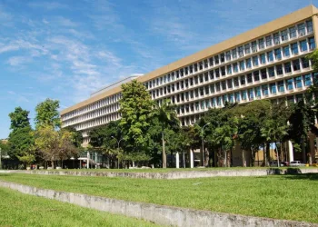 Planta brasileira que produz canabidiol é descoberta sem substâncias alucinógenas