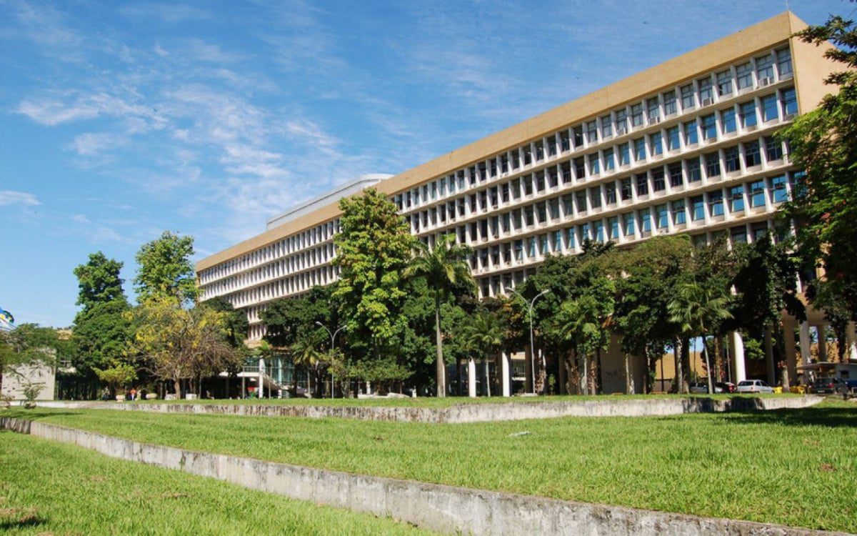Planta brasileira que produz canabidiol é descoberta sem substâncias alucinógenas
