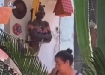 VÍDEO: Mulher é flagrada agredindo cachorros a pauladas no Rio, gerando revolta nas redes sociais