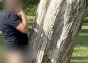 Homem é preso após ser flagrado fazendo ato obsceno com árvore em parque na Inglaterra