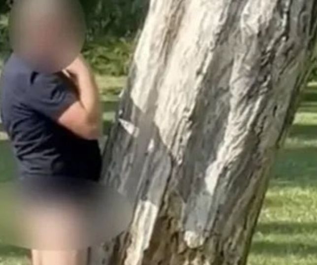 Homem é preso após ser flagrado fazendo ato obsceno com árvore em parque na Inglaterra