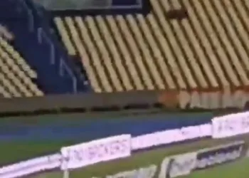 (video) Casal é flagrado fazendo sexo em jogo do campeonato Brasileiro