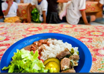 Câmara de Vereadores do Rio aprova proibição de alimentos ultraprocessados nas escolas públicas e privadas