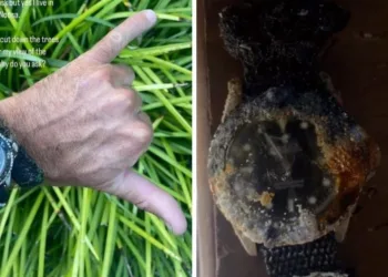 Surfista encontra Rolex de R$ 160 mil funcionando no fundo do mar