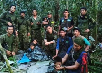 URGENTE: Crianças vitimas de acidente com avião são encontradas na Amazônia