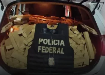 Traficante tenta fugir da policia,mas acaba preso ao parar pra fumar maconha