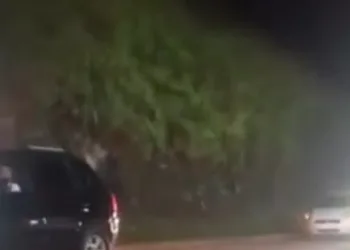 Mulher Falece em Acidente na Rodovia Rio-Santos; Motorista do Carro Foge do Local