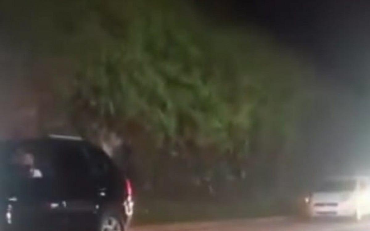 Mulher Falece em Acidente na Rodovia Rio-Santos; Motorista do Carro Foge do Local