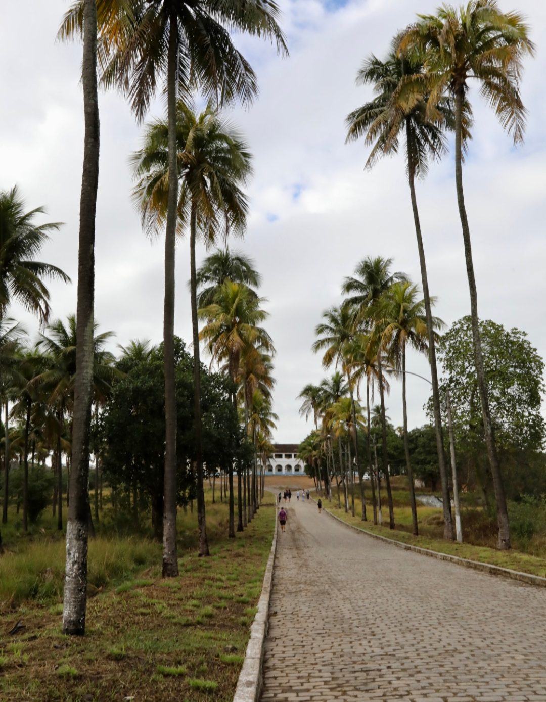Prefeitura do Rio anuncia construção do parque da Cesário de Melo, em Inhoaíba