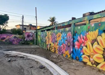 Campo Grande ganha mural de grafite de artista baiano