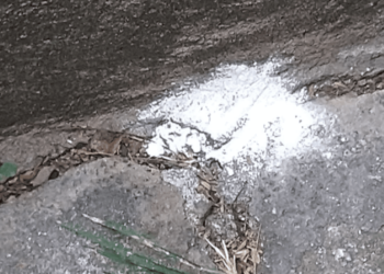 Polícia investiga pó branco em calçadas da Zona Sul do Rio