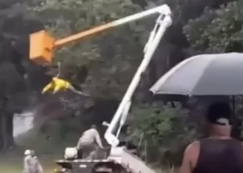 VÍDEO: Funcionário Pendurado Após Acidente com Caminhão de Energia