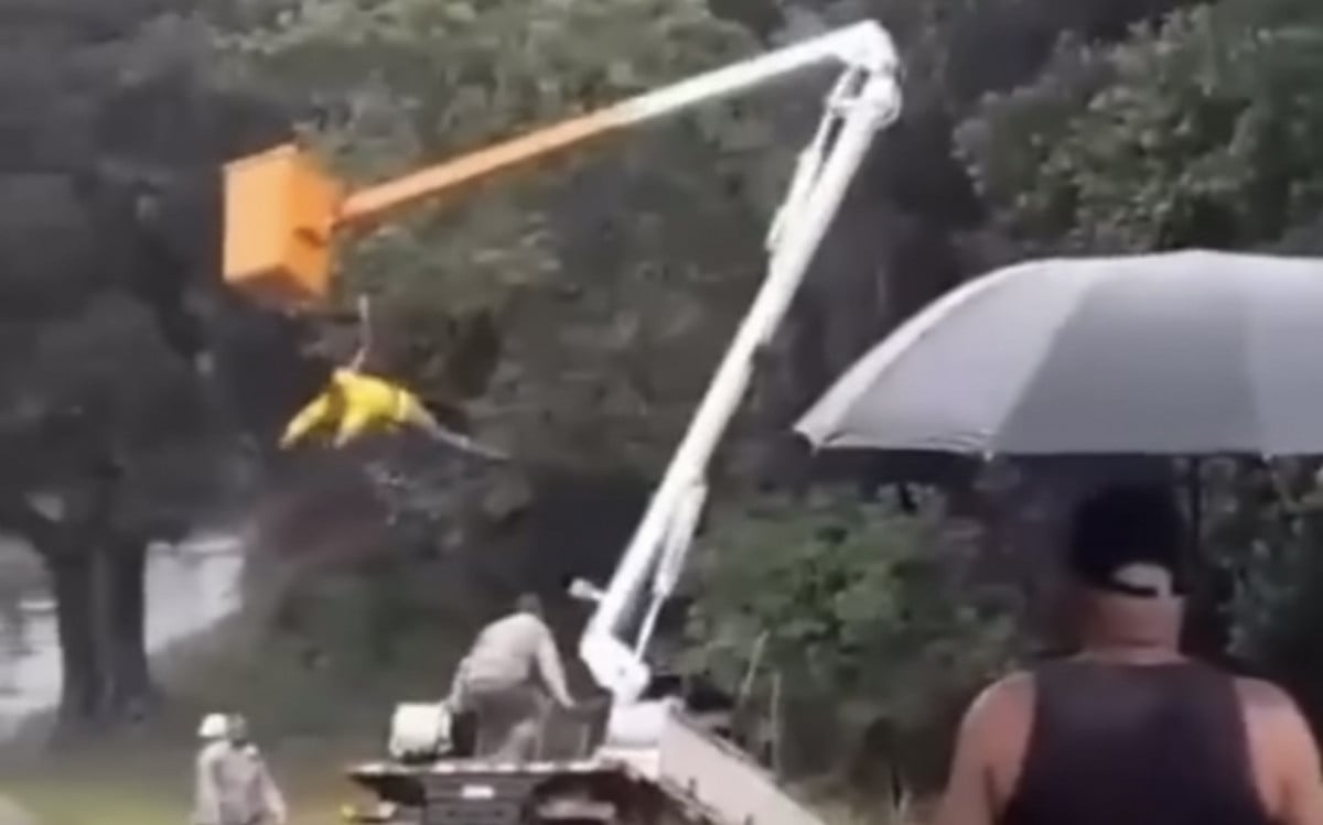 VÍDEO: Funcionário Pendurado Após Acidente com Caminhão de Energia