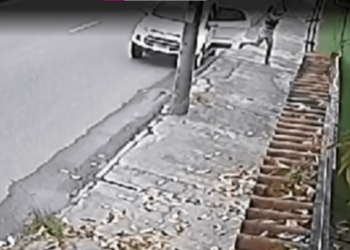 Crueldade em Campo Grande: Mulher é Filmada Arremessando Gata por Cima de Muro