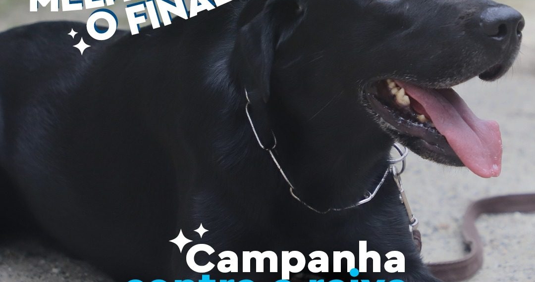 A Campanha de Vacinação Contra Raiva 2023 se encerra neste sábado, 11/11