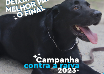 A Campanha de Vacinação Contra Raiva 2023 se encerra neste sábado, 11/11
