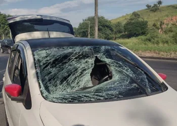 Tronco Cai e Atinge Carro na Avenida Brasil: Segundo Acidente em Dois Dias