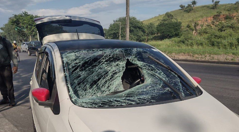 Tronco Cai e Atinge Carro na Avenida Brasil: Segundo Acidente em Dois Dias