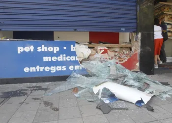 Caminhão Invade Pet Shop e Causa Danos