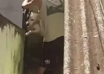 Homem é Preso por Espancar Cachorro
