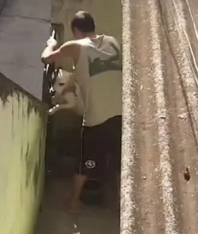 Homem é Preso por Espancar Cachorro