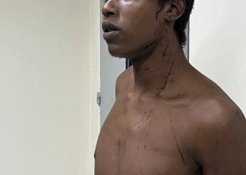 Tragédia: Homem Confessa Abuso e Assassinato de Menina de 4 Anos