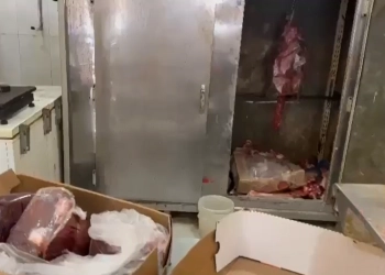Açougue Clandestino Vendia Carnes Impróprias para Consumo