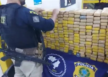 Perseguição na Dutra Resulta em Apreensão de 350 Quilos de Maconha