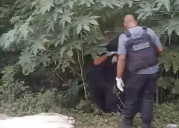Corpo em Estado de Decomposição Encontrado na Estrada Rio-São Paulo em Campo Grande