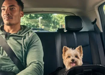 Uber Expande Categoria Uber Pet para Rio de Janeiro