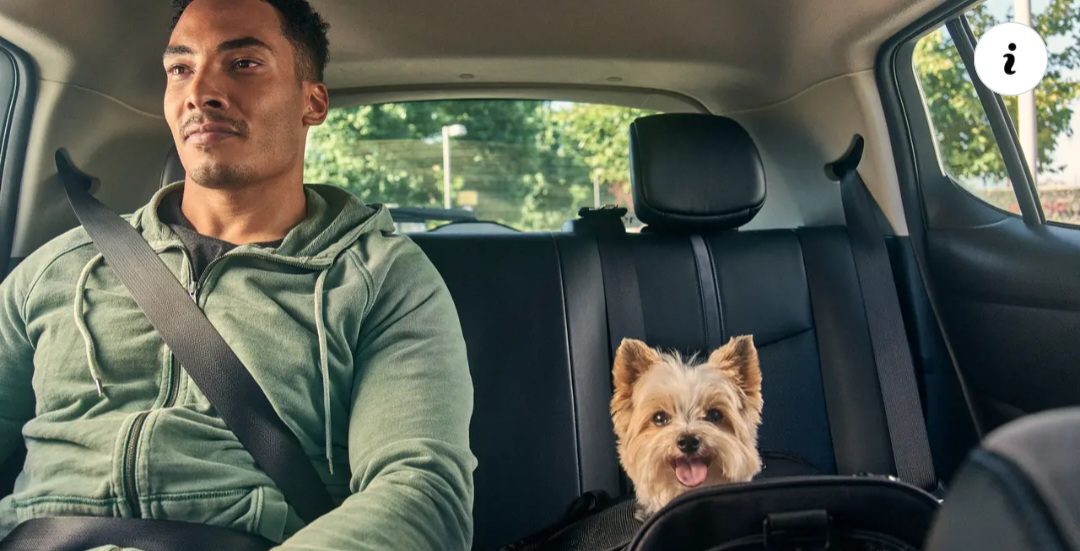 Uber Expande Categoria Uber Pet para Rio de Janeiro