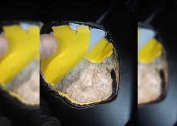 Holandesa é presa com 8,5kg de metanfetamina em aeroporto no Rio