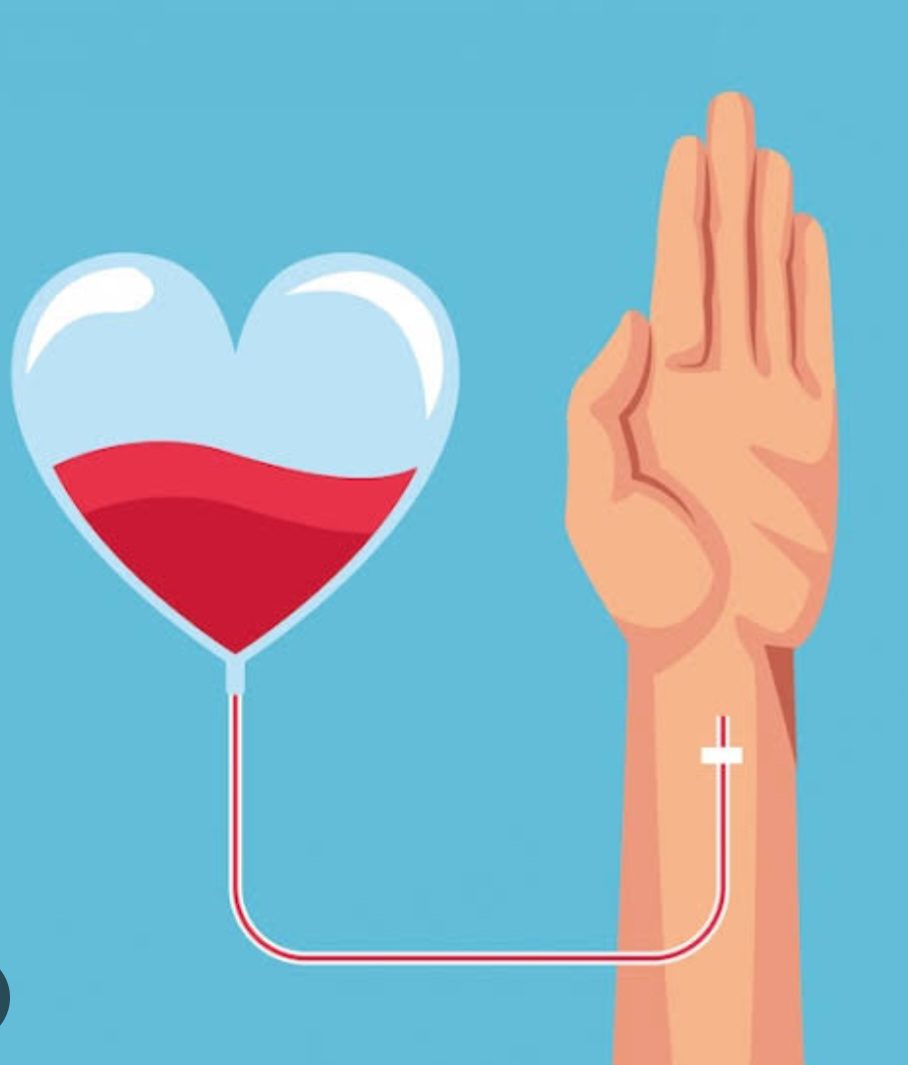 Hospital Rocha Faria realiza campanha de doação de sangue na segunda-feira