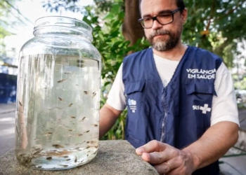 Rio utiliza peixes barrigudinhos no combate à dengue