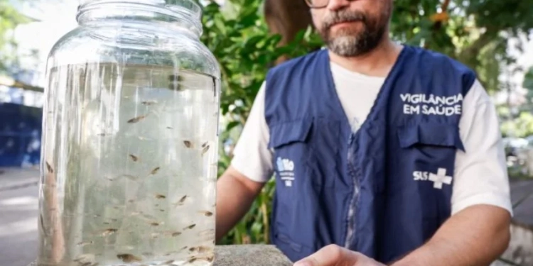 Rio utiliza peixes barrigudinhos no combate à dengue