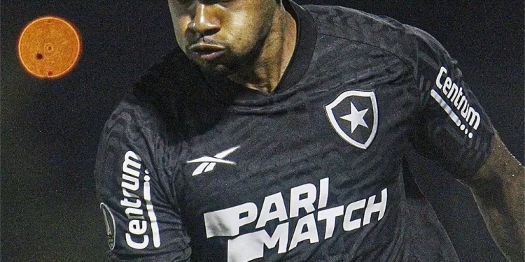 Botafogo garante vaga na fase de grupos da Libertadores