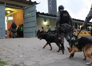 Único Cão Farejador da PM do Rio Grande do Norte Precisa de Descanso Após Intensas Buscas