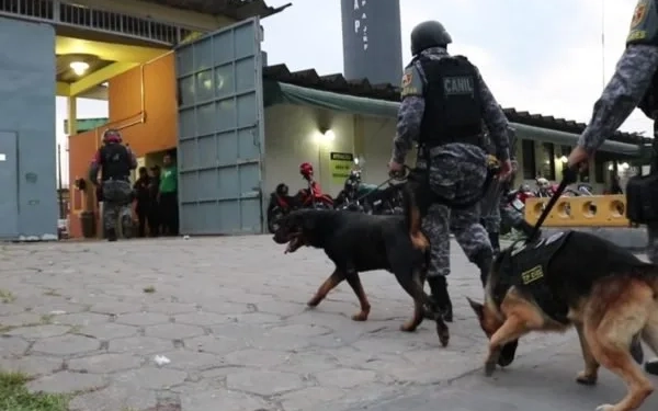 Único Cão Farejador da PM do Rio Grande do Norte Precisa de Descanso Após Intensas Buscas