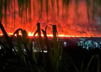 Incêndio assusta moradores no Recreio!!