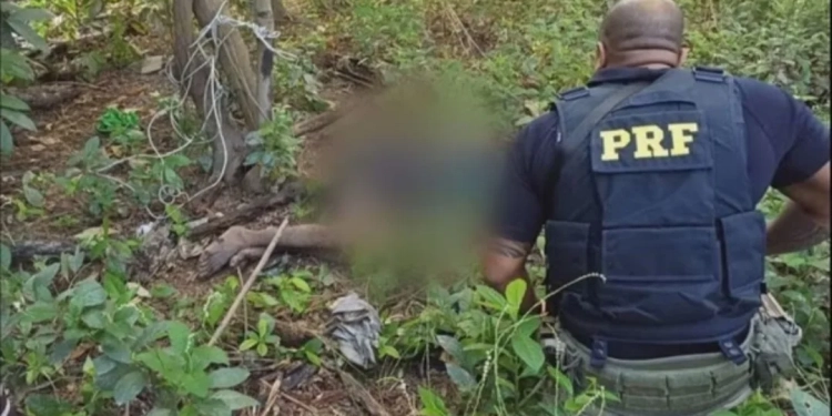 Polícia Rodoviária Federal resgata homem torturado por traficantes no RJ