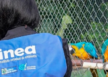 Operação resgata mais de 20 animais silvestres mantidos em sítio na zona oeste