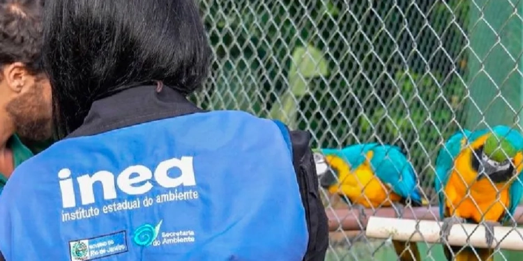 Operação resgata mais de 20 animais silvestres mantidos em sítio na zona oeste