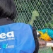 Operação resgata mais de 20 animais silvestres mantidos em sítio na zona oeste